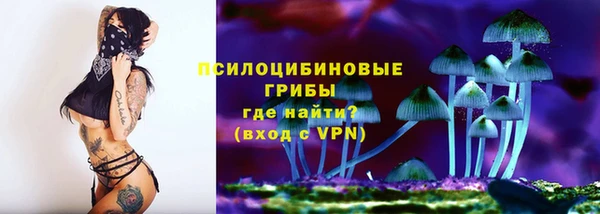 СК Балахна