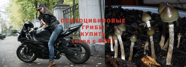 тгк Беломорск
