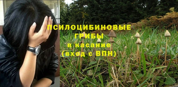 соль ск Балабаново