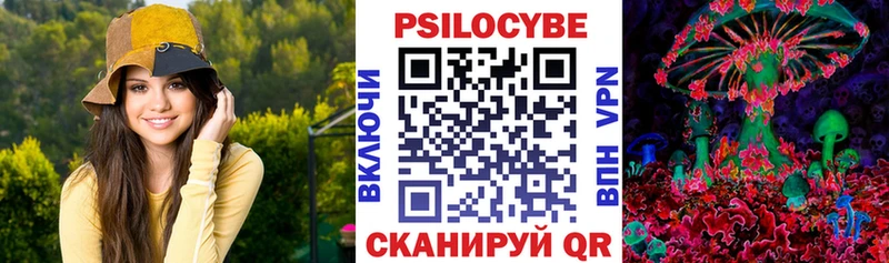 Галлюциногенные грибы Psilocybine cubensis  Павловск 