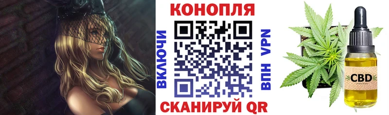 Конопля гибрид Павловск